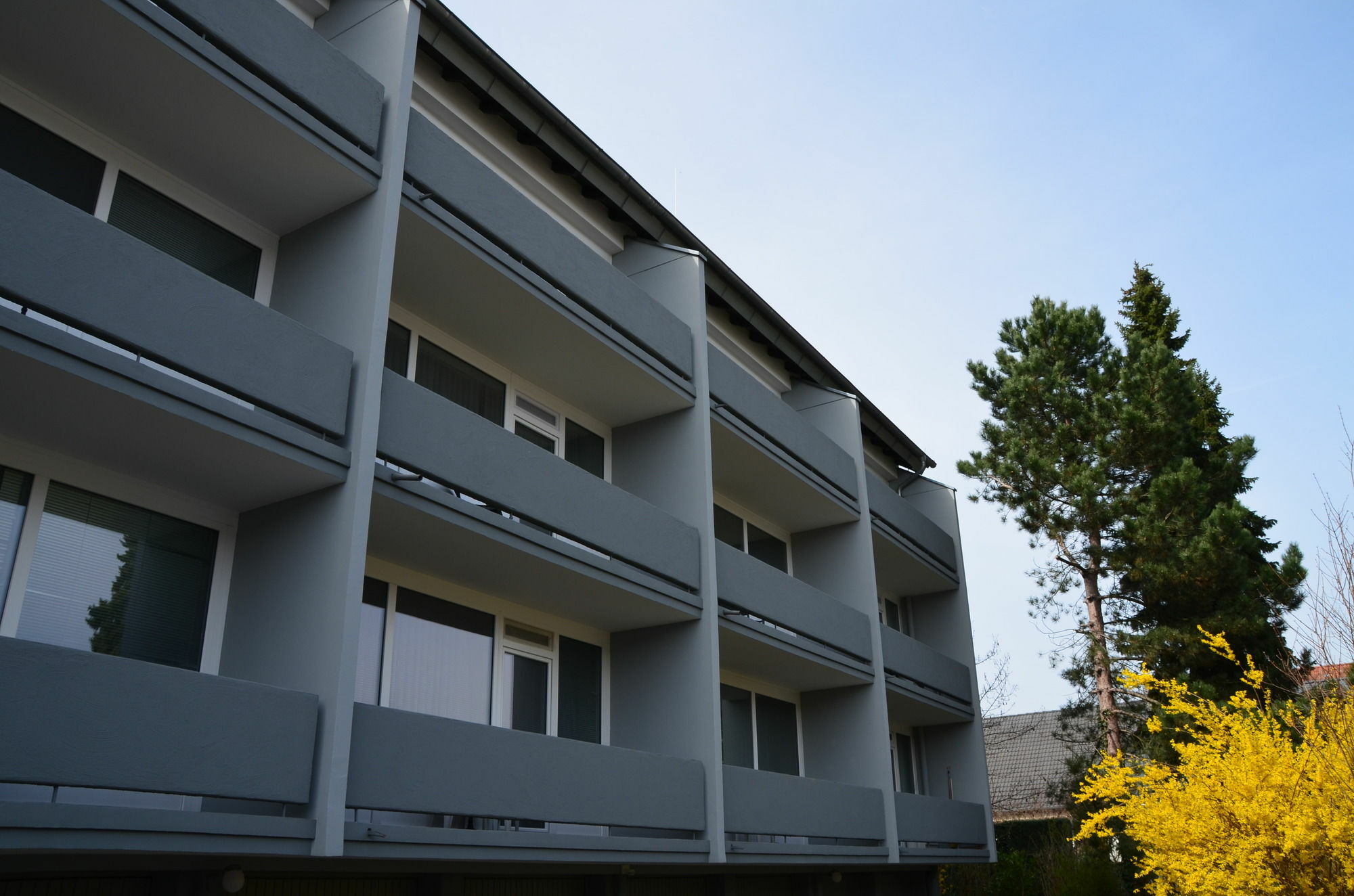 Neu Heidelberg - Guesthouse & Apartments Eksteriør billede