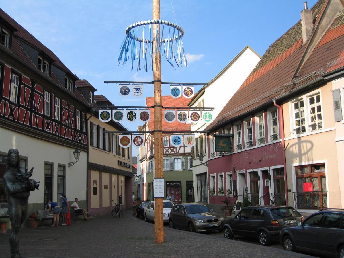 Neu Heidelberg - Guesthouse & Apartments Eksteriør billede